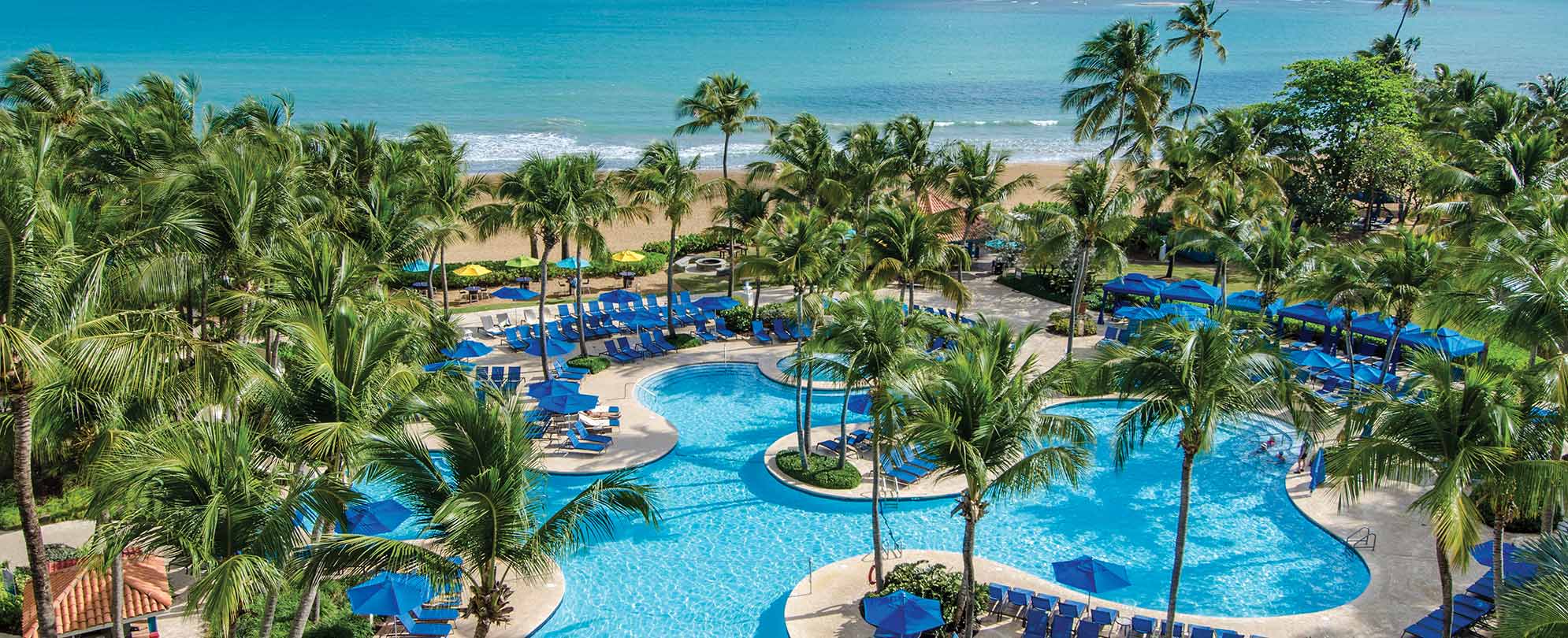 An oceanfront pool surrounded by palm trees at Margaritaville Vacation Club by Wyndham - Rio Mar, a timeshare resort.